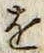 文字 を