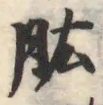 肱の位置