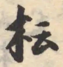 枟の位置
