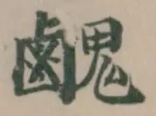䴜の位置