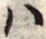 𛂞の位置