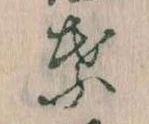 位置定マレル葉