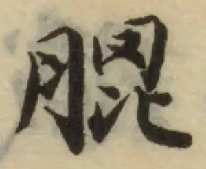 膍の位置