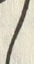 字こ