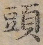 頭 위치 확인됨