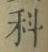 글자 科
