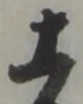 土 위치 확인됨