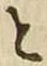 「と」字