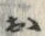 글자 お