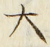 “大”字