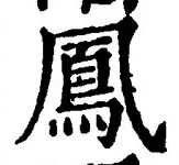 文字鳳