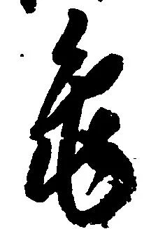 已定位亀