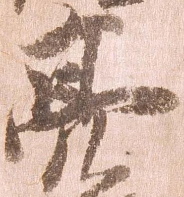 已定位亮
