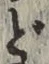 文字 ど
