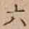 글자 六
