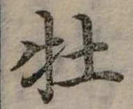 Đã định vị 牡