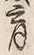 文字育
