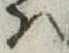 Located 𛂞