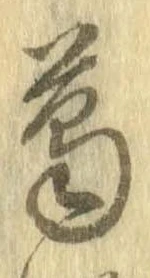 位置定マレル葛