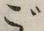 位置 確認된 ご