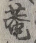庵 위치 확인됨
