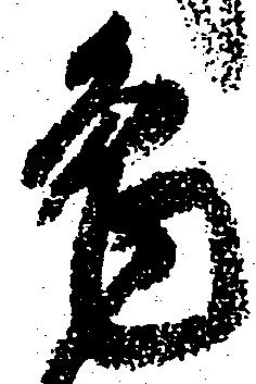 兎 위치 확인됨