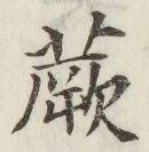 文字蕨