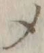 글자 メ