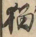 位置 確認된 猫