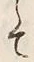 𡨸え