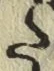 字た
