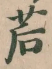 茩 위치 확인됨