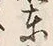 글자 東