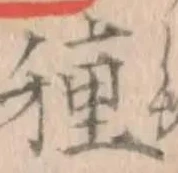 글자 種
