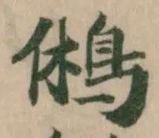 位置定マレル鵂