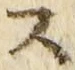 𡨸ス