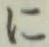 字に