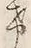 “け”字