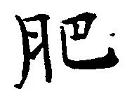 已定位肥