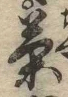 茶 위치 확인됨