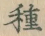 글자 種