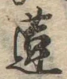 蓮 위치 확인됨