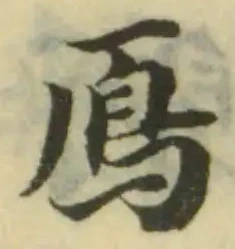 位置定マレル鳫