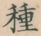 글자 種