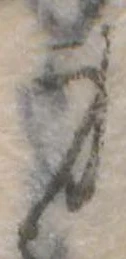 身の位置