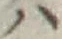 字ハ