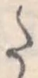 Đã định vị 𛁠