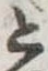 位置定マレルと