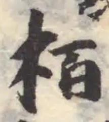 栢 위치 확인됨
