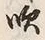 文字吹
